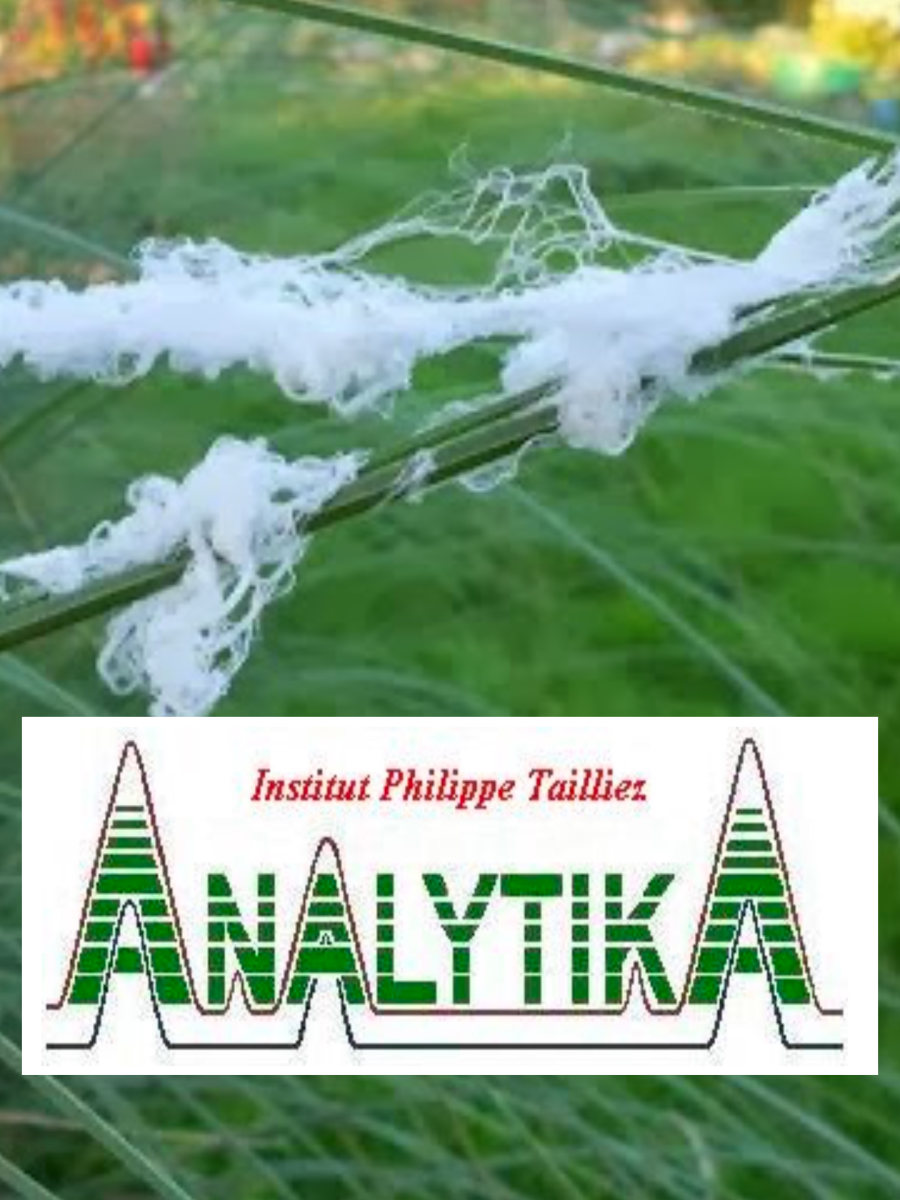 Analytika: Análisis de&nbsp;Filamentos