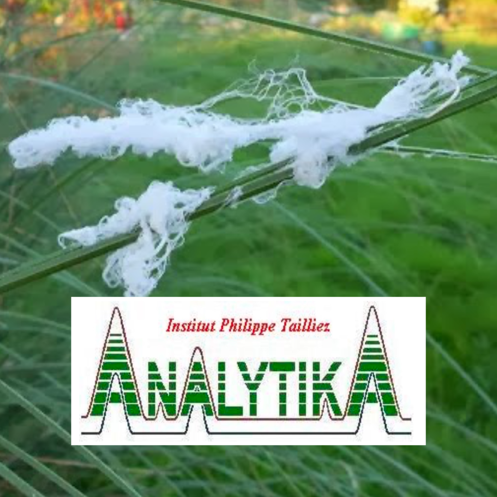 Analytika: Análisis de&nbsp;Filamentos